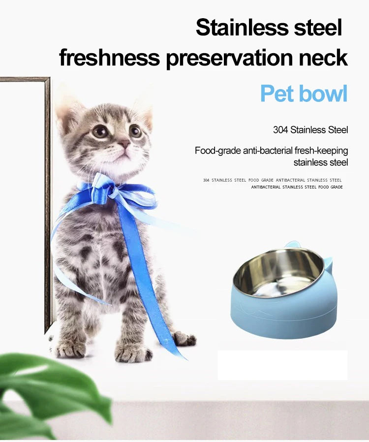 Inclined Stainless Steel Pet Bowl – Anti-Spill, Easy-Eat Feeder for Cats & Dogs