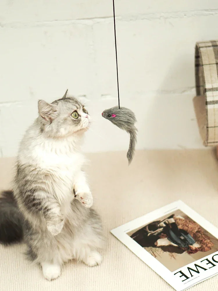 Hanging Retractable Mouse Toy for Cats – Door Frame Interactive Play