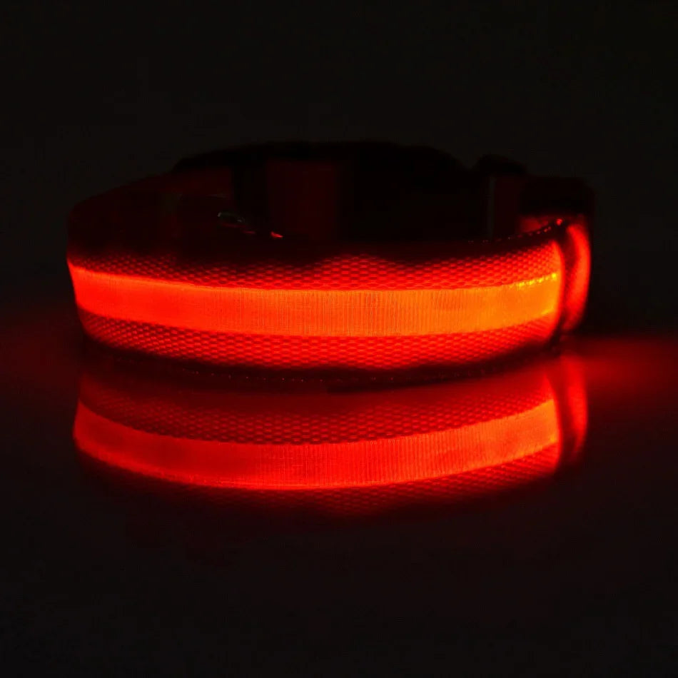 LED Glow-in-the-Dark Dog Collar – Night Safety Flashing Nylon Collar
