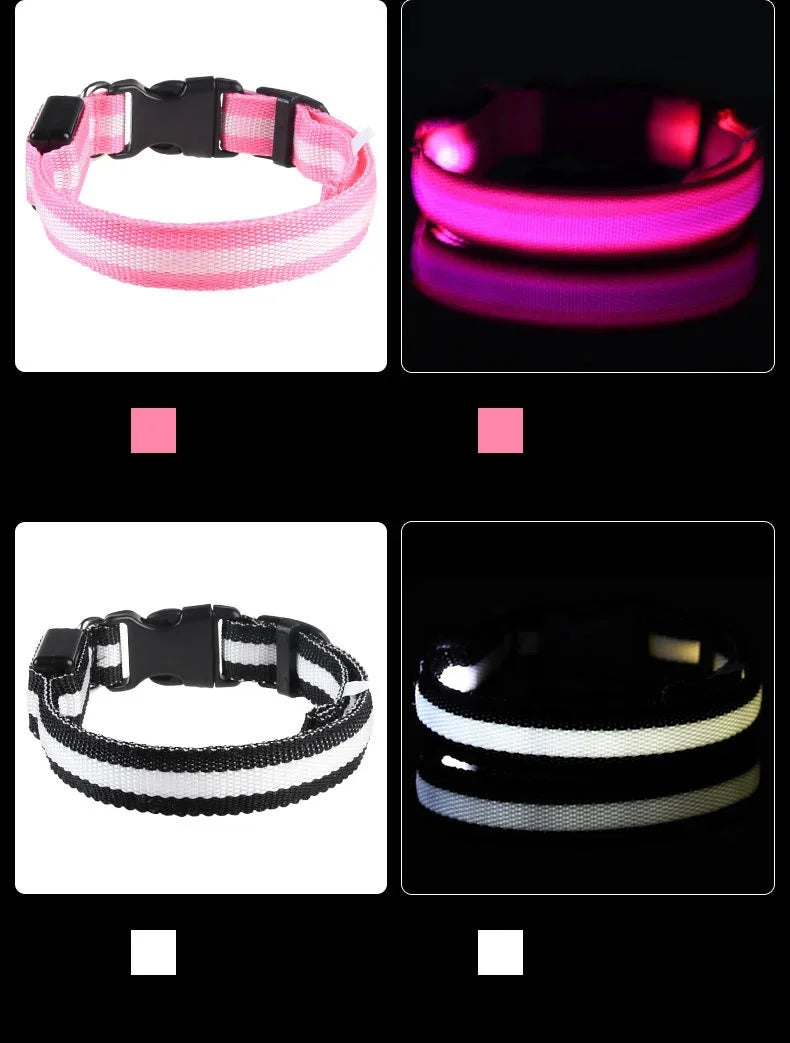 LED Glow-in-the-Dark Dog Collar – Night Safety Flashing Nylon Collar