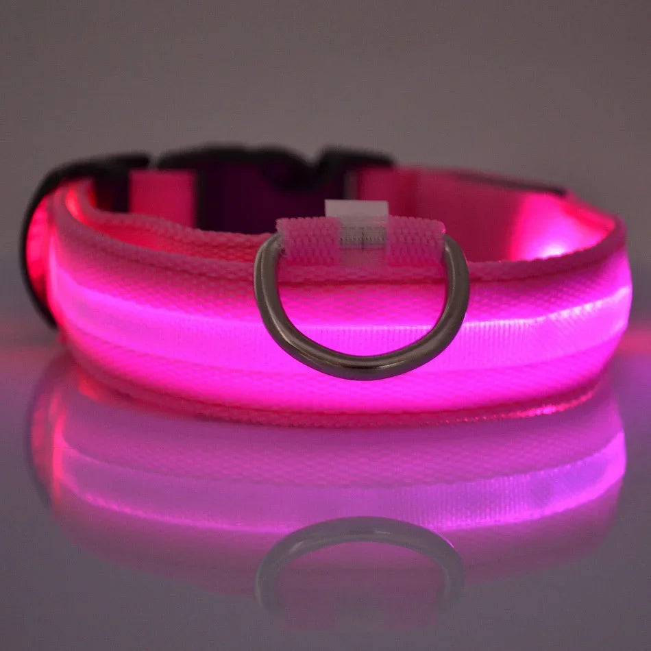 LED Glow-in-the-Dark Dog Collar – Night Safety Flashing Nylon Collar