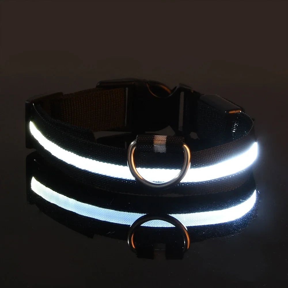 LED Glow-in-the-Dark Dog Collar – Night Safety Flashing Nylon Collar
