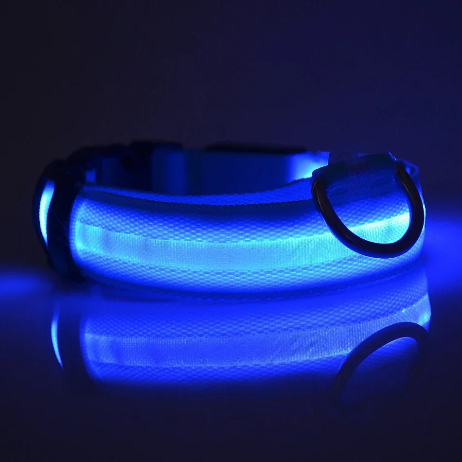 LED Glow-in-the-Dark Dog Collar – Night Safety Flashing Nylon Collar