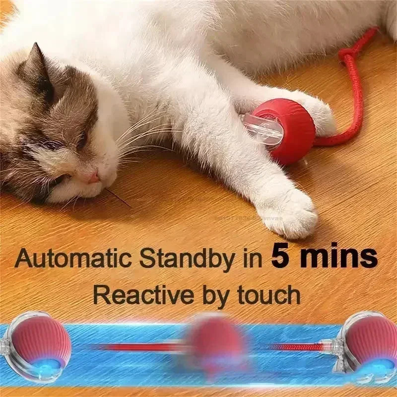 Interactive Cat Toy Ball – Automatic Smart Rolling Ball for Indoor Cats