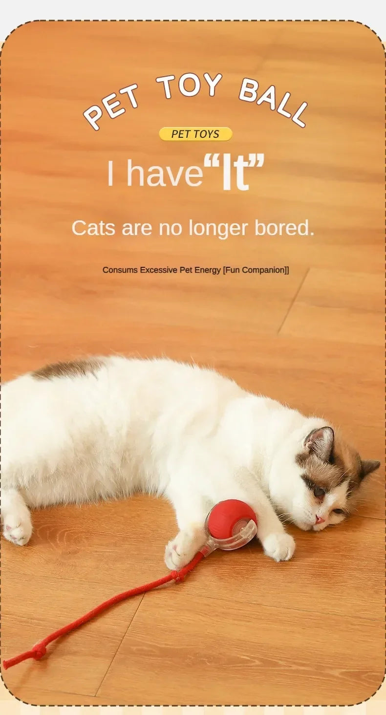 Interactive Cat Toy Ball – Automatic Smart Rolling Ball for Indoor Cats