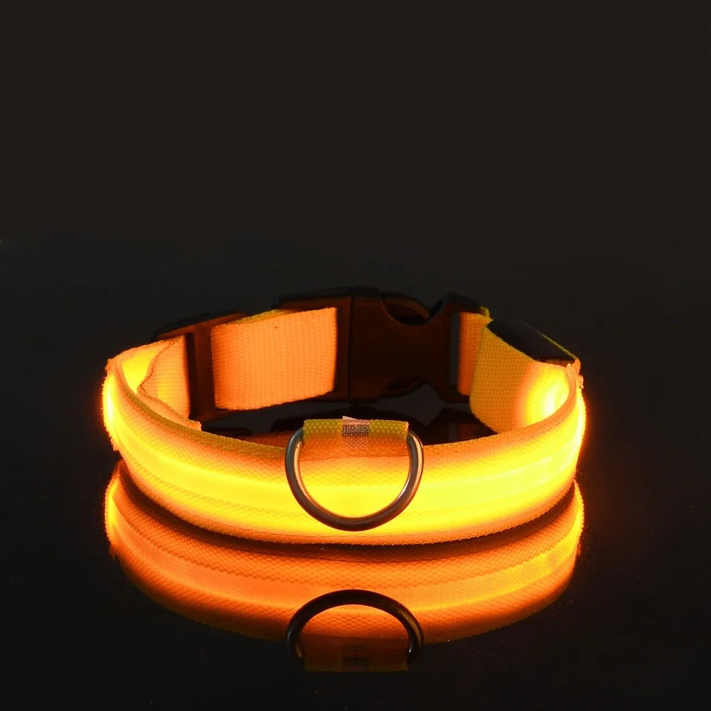 LED Glow-in-the-Dark Dog Collar – Night Safety Flashing Nylon Collar