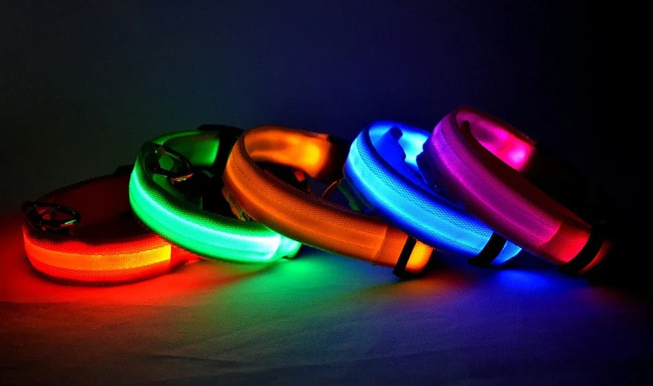 LED Glow-in-the-Dark Dog Collar – Night Safety Flashing Nylon Collar