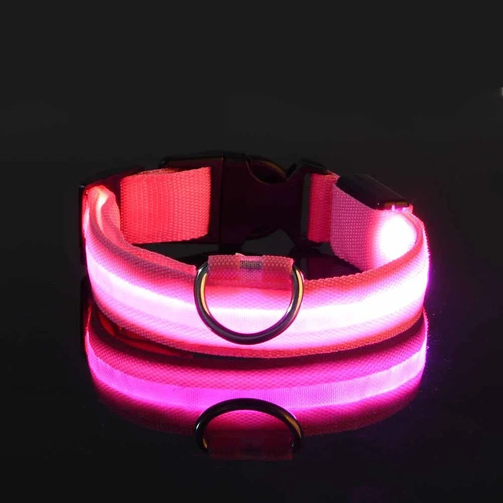 LED Glow-in-the-Dark Dog Collar – Night Safety Flashing Nylon Collar
