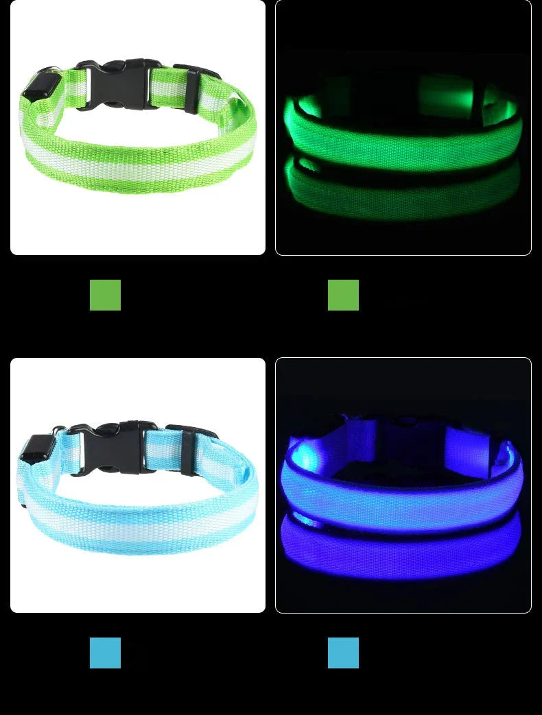 LED Glow-in-the-Dark Dog Collar – Night Safety Flashing Nylon Collar