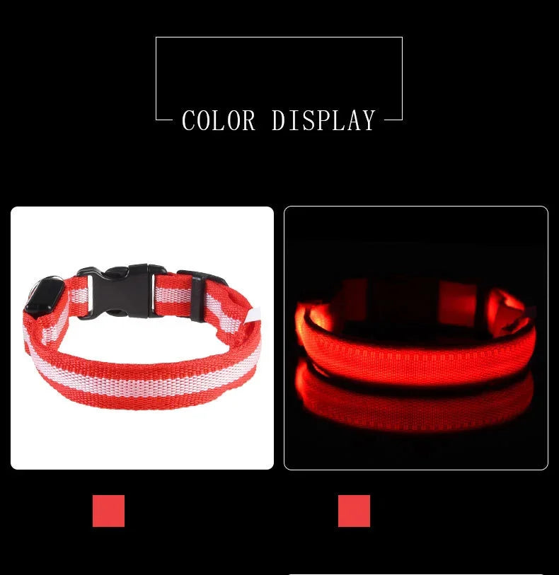 LED Glow-in-the-Dark Dog Collar – Night Safety Flashing Nylon Collar