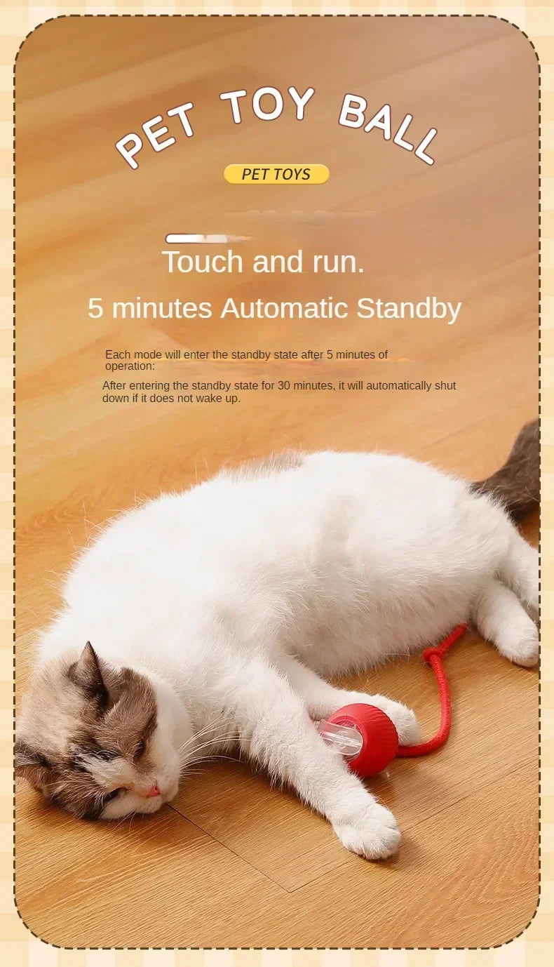 Interactive Cat Toy Ball – Automatic Smart Rolling Ball for Indoor Cats