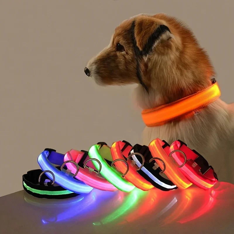 LED Glow-in-the-Dark Dog Collar – Night Safety Flashing Nylon Collar