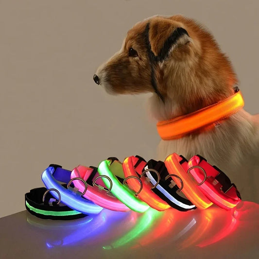 LED Glow-in-the-Dark Dog Collar – Night Safety Flashing Nylon Collar