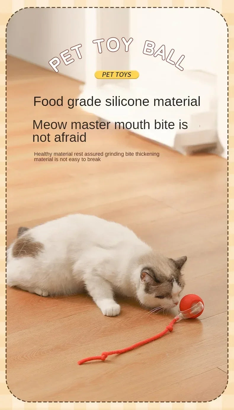 Interactive Cat Toy Ball – Automatic Smart Rolling Ball for Indoor Cats