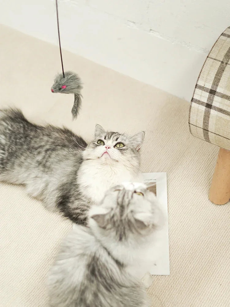 Hanging Retractable Mouse Toy for Cats – Door Frame Interactive Play