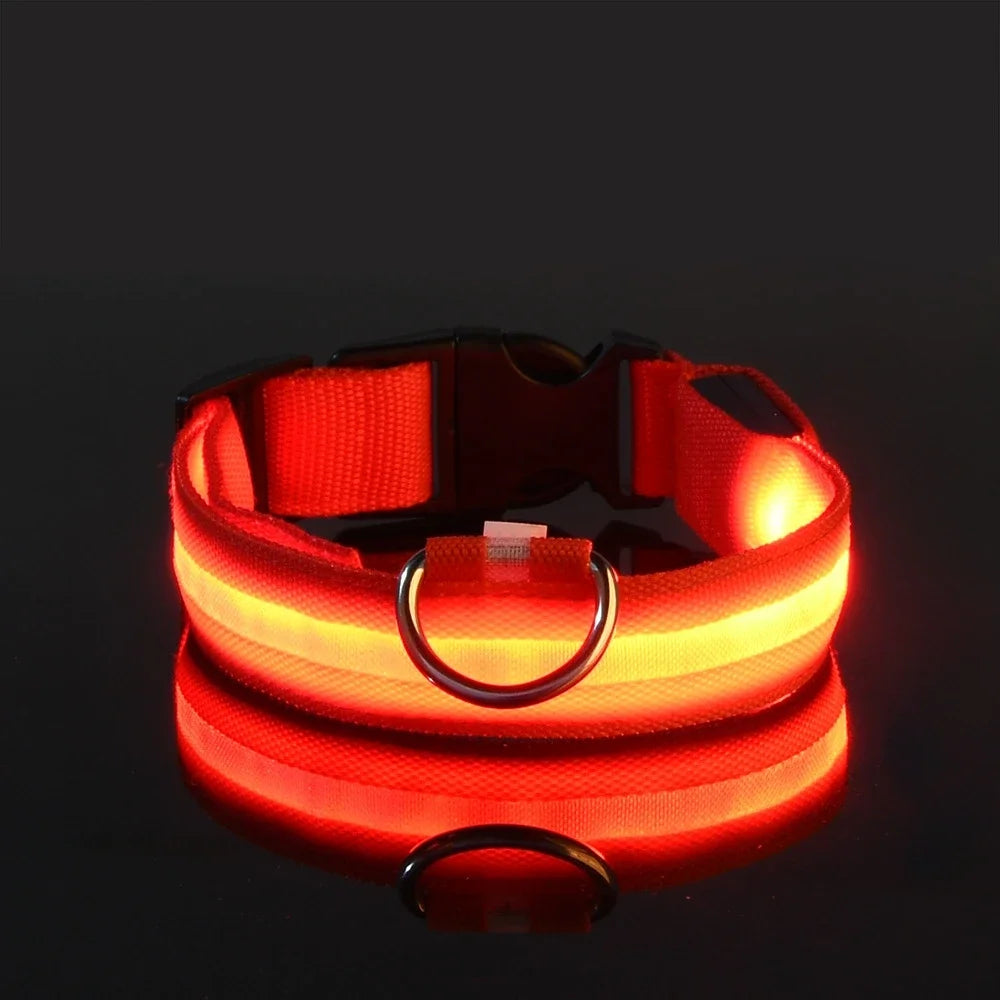 LED Glow-in-the-Dark Dog Collar – Night Safety Flashing Nylon Collar