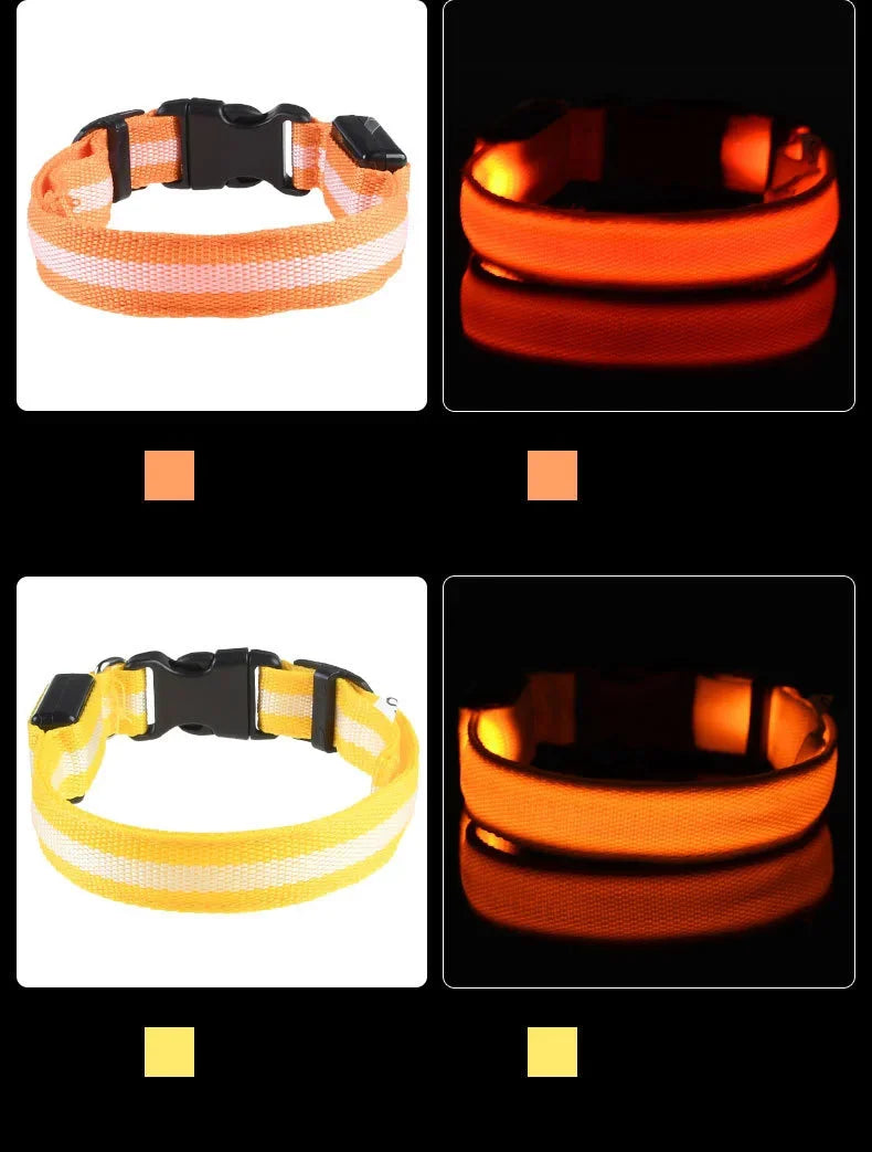 LED Glow-in-the-Dark Dog Collar – Night Safety Flashing Nylon Collar