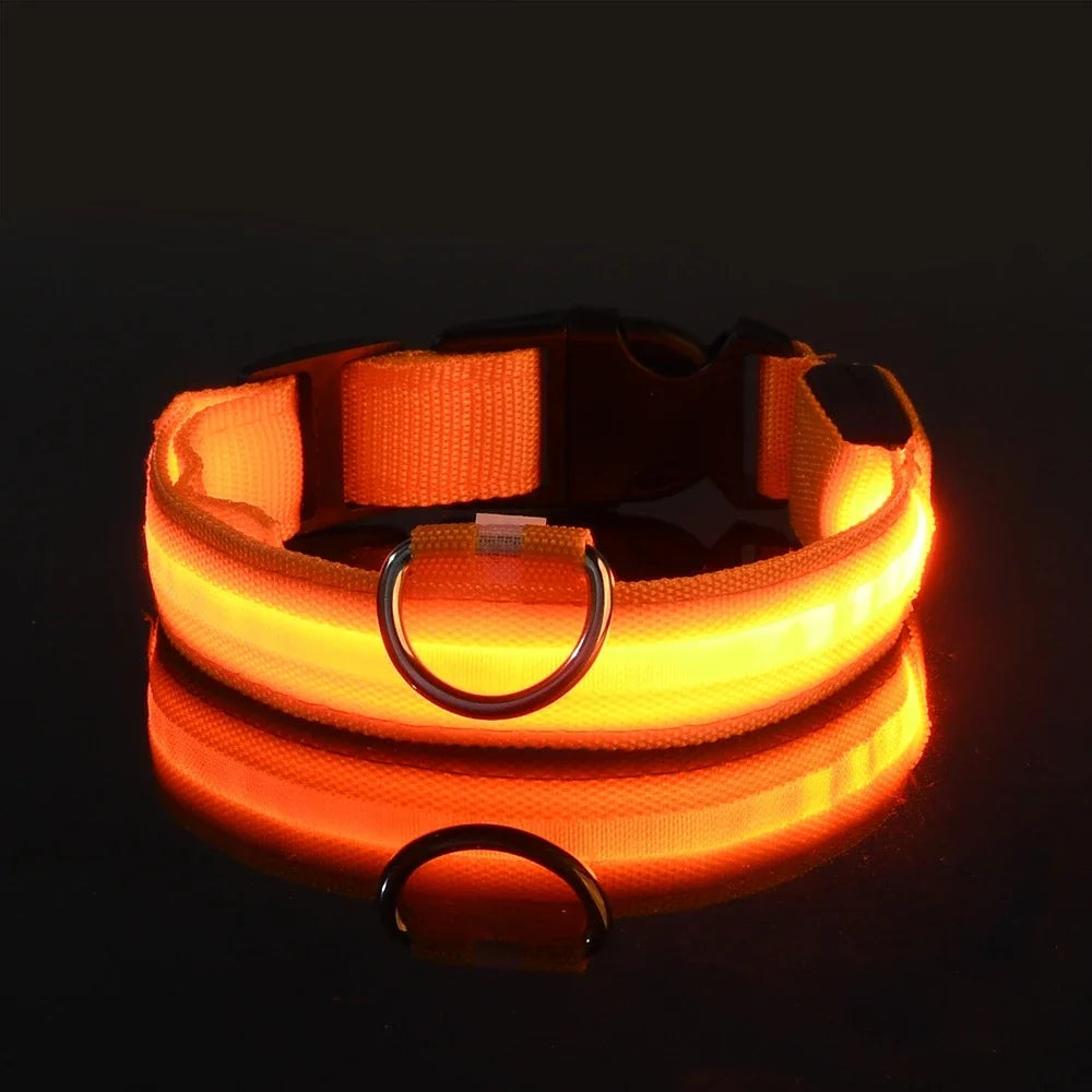 LED Glow-in-the-Dark Dog Collar – Night Safety Flashing Nylon Collar