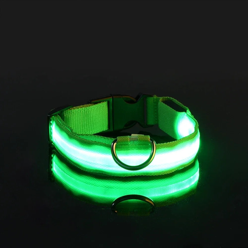 LED Glow-in-the-Dark Dog Collar – Night Safety Flashing Nylon Collar